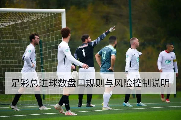 足彩总进球数盘口规则与风险控制说明